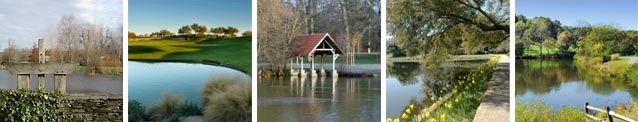 Références, Monetang.com